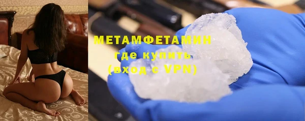 гидра Аркадак