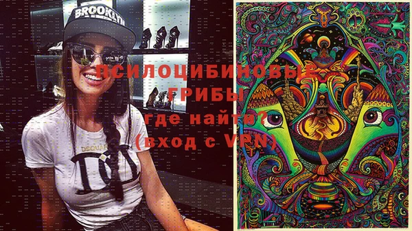 apvp Арсеньев