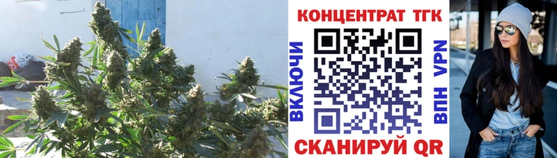 купить цена Киров Дистиллят ТГК концентрат
